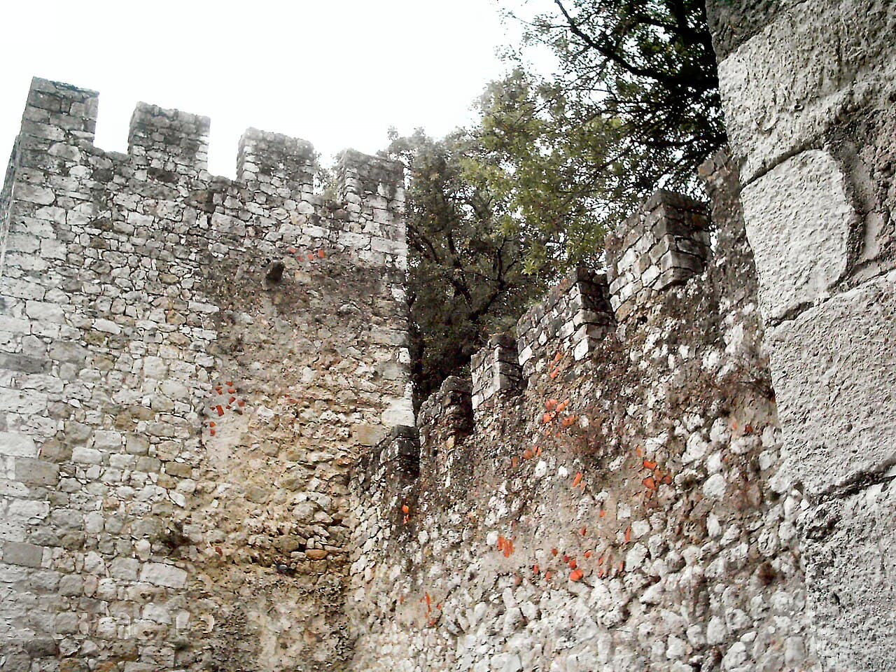 Torres Novas Castle — Portugal castle