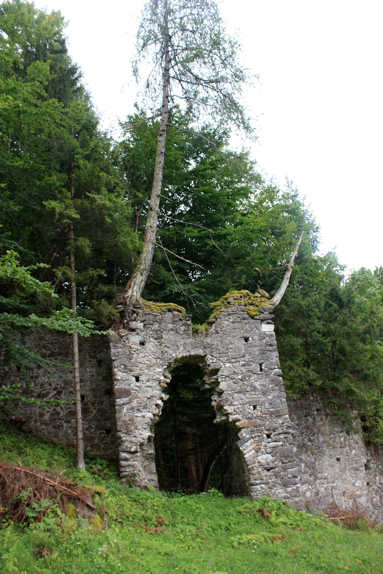 Burgruine Treffen — Austria castle