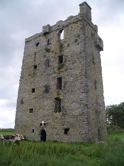 Carrigaholt Castle — Ireland castle