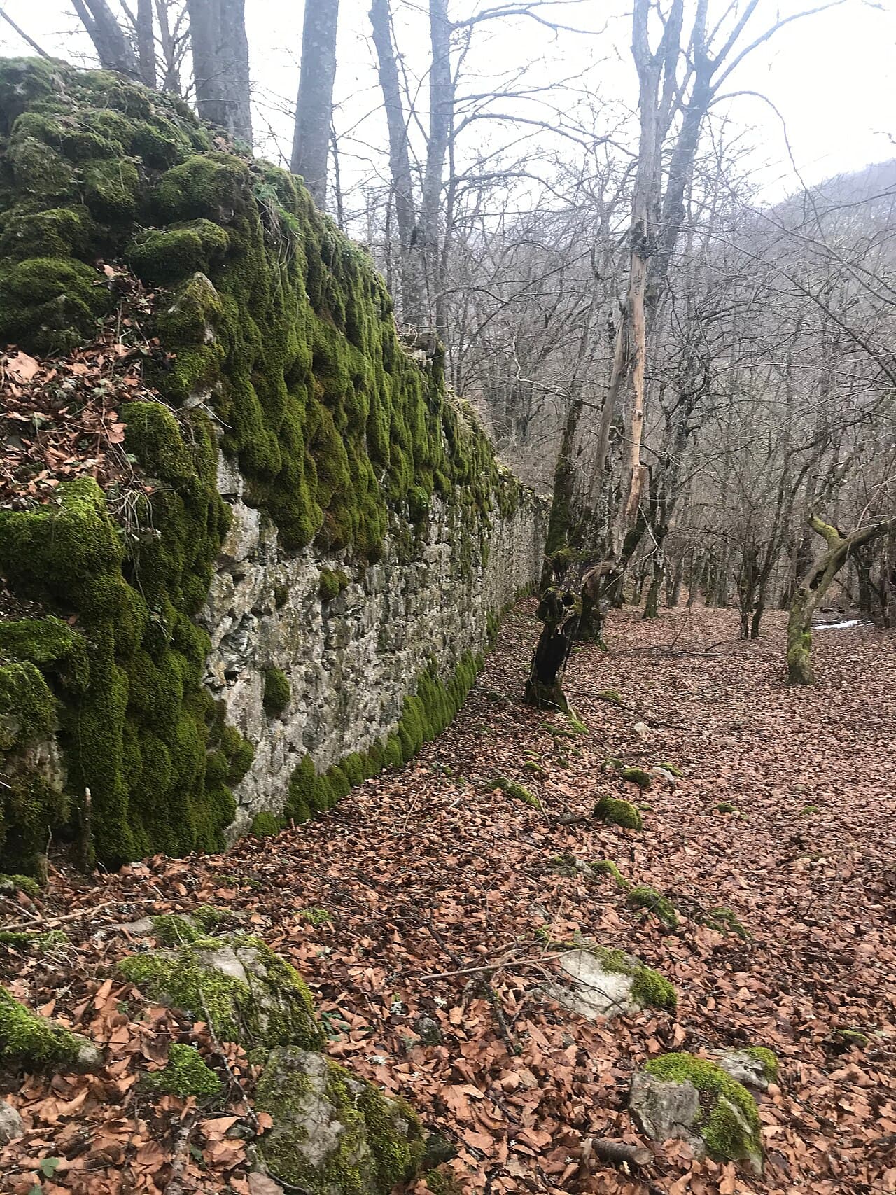Pavlovac Fortress — Bosnia and Herzegovina castle