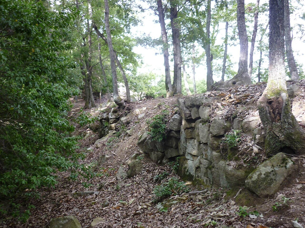 Kanjōsan Castle — Japan castle