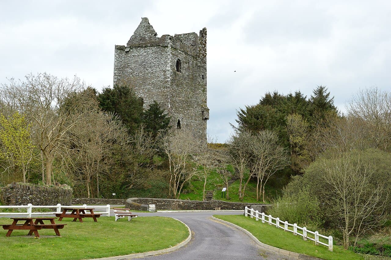 Ballinacarriga Castle — Ireland castle