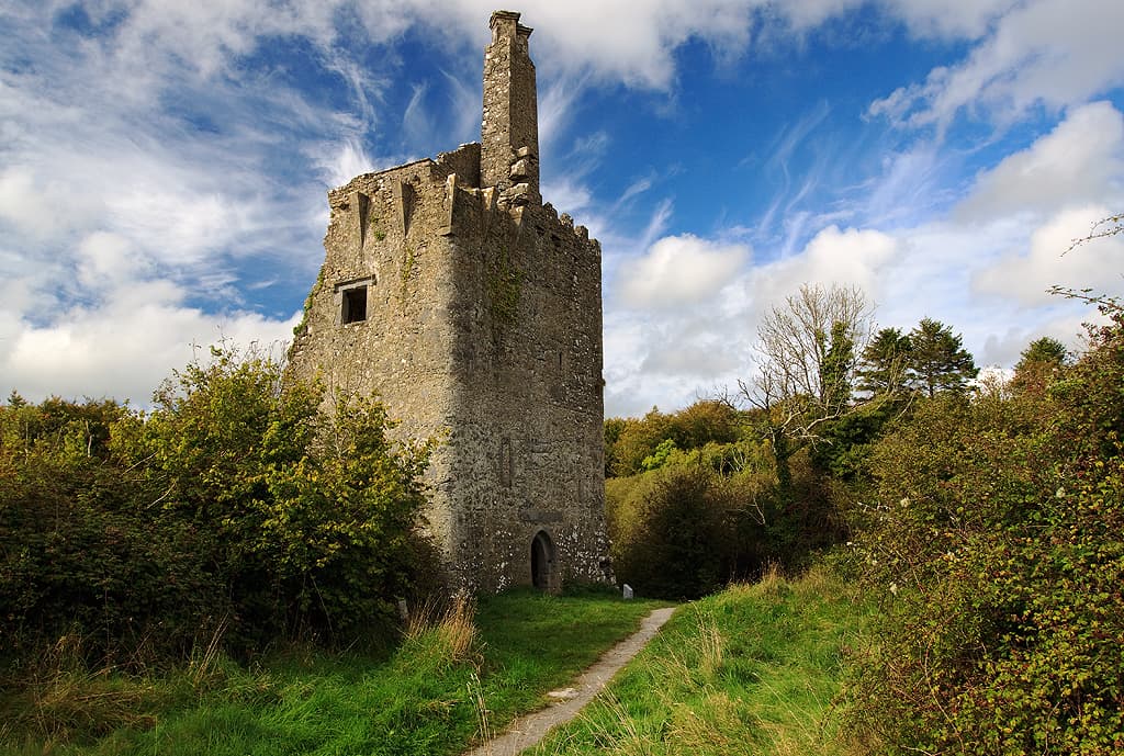 Dromore Castle — Ireland castle
