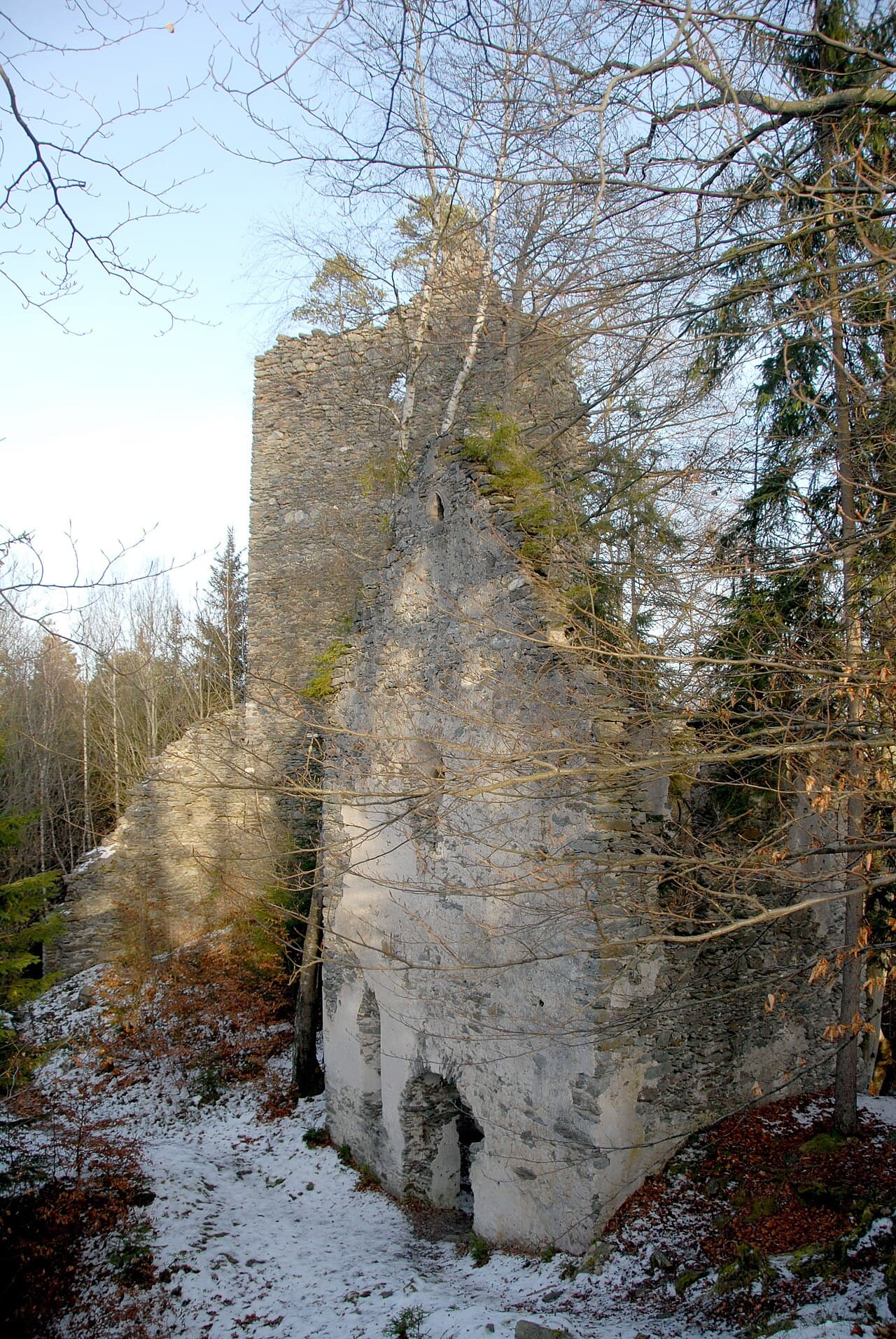 Burgruine Hohenwart — Austria castle