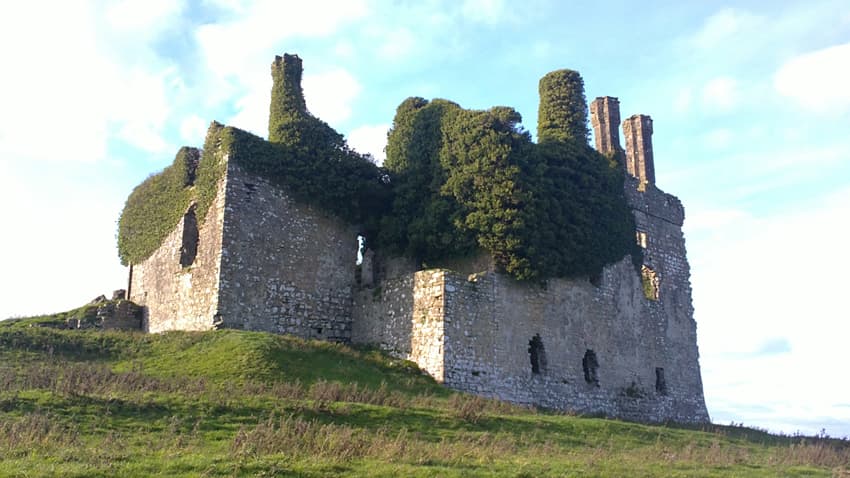 Carbury Castle — Ireland castle
