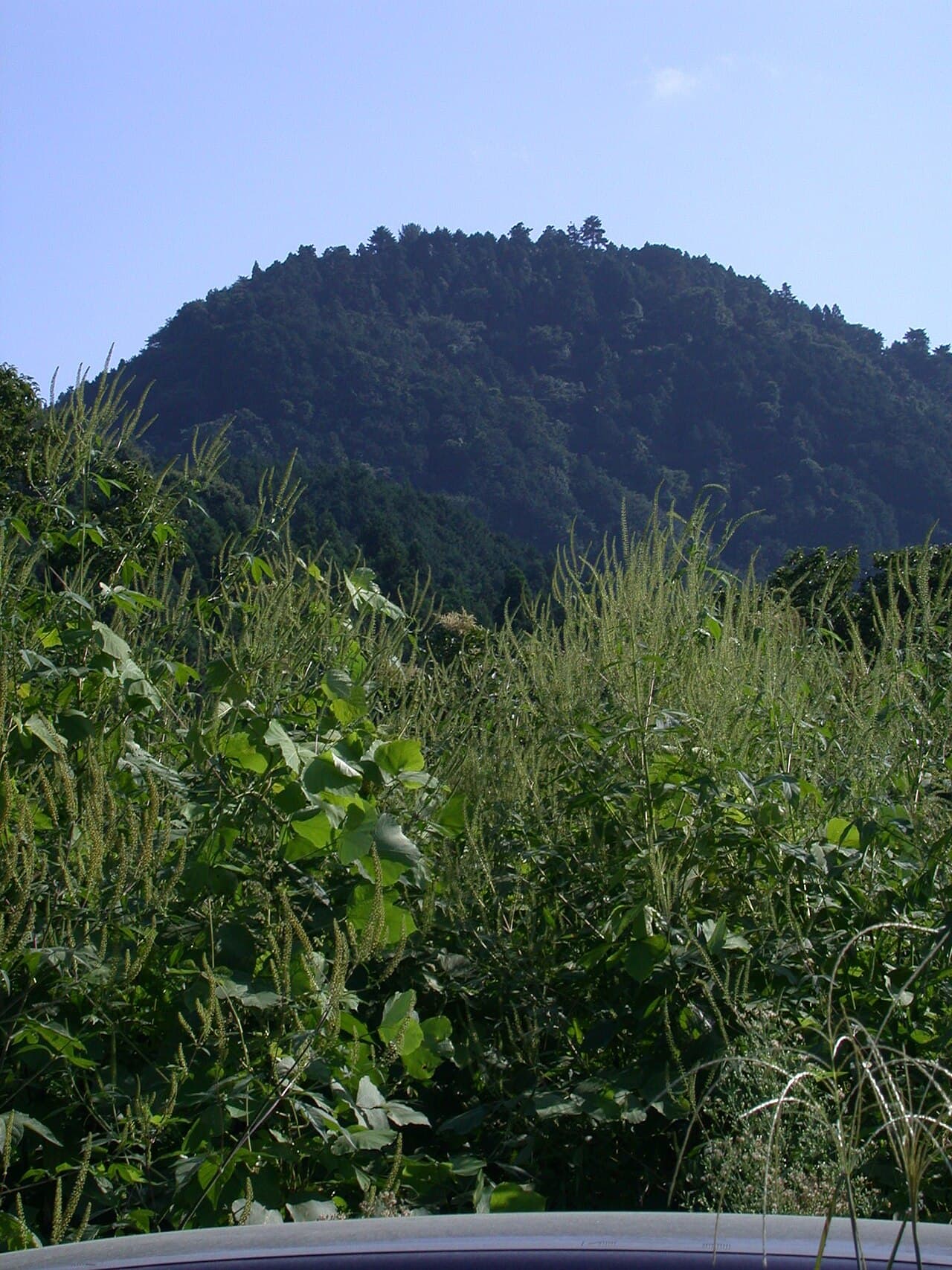 Hachioji Castle — Japan castle