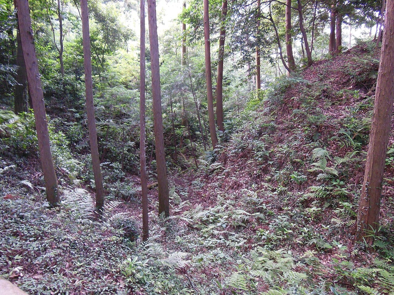 Noda Castle — Japan castle