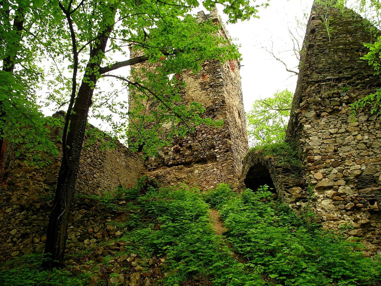 Lipa — Poland castle