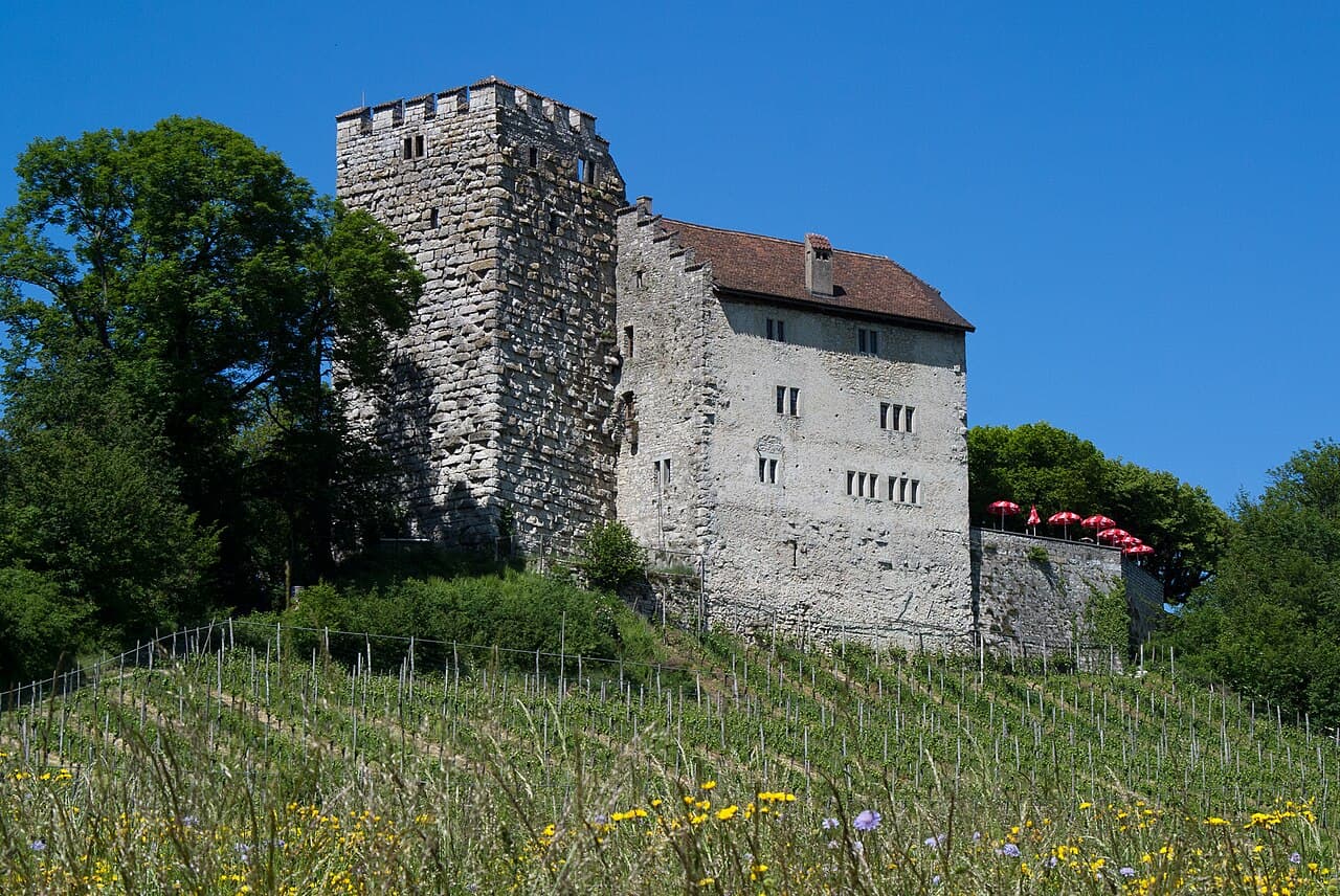 Habsburg Castle — Switzerland castle