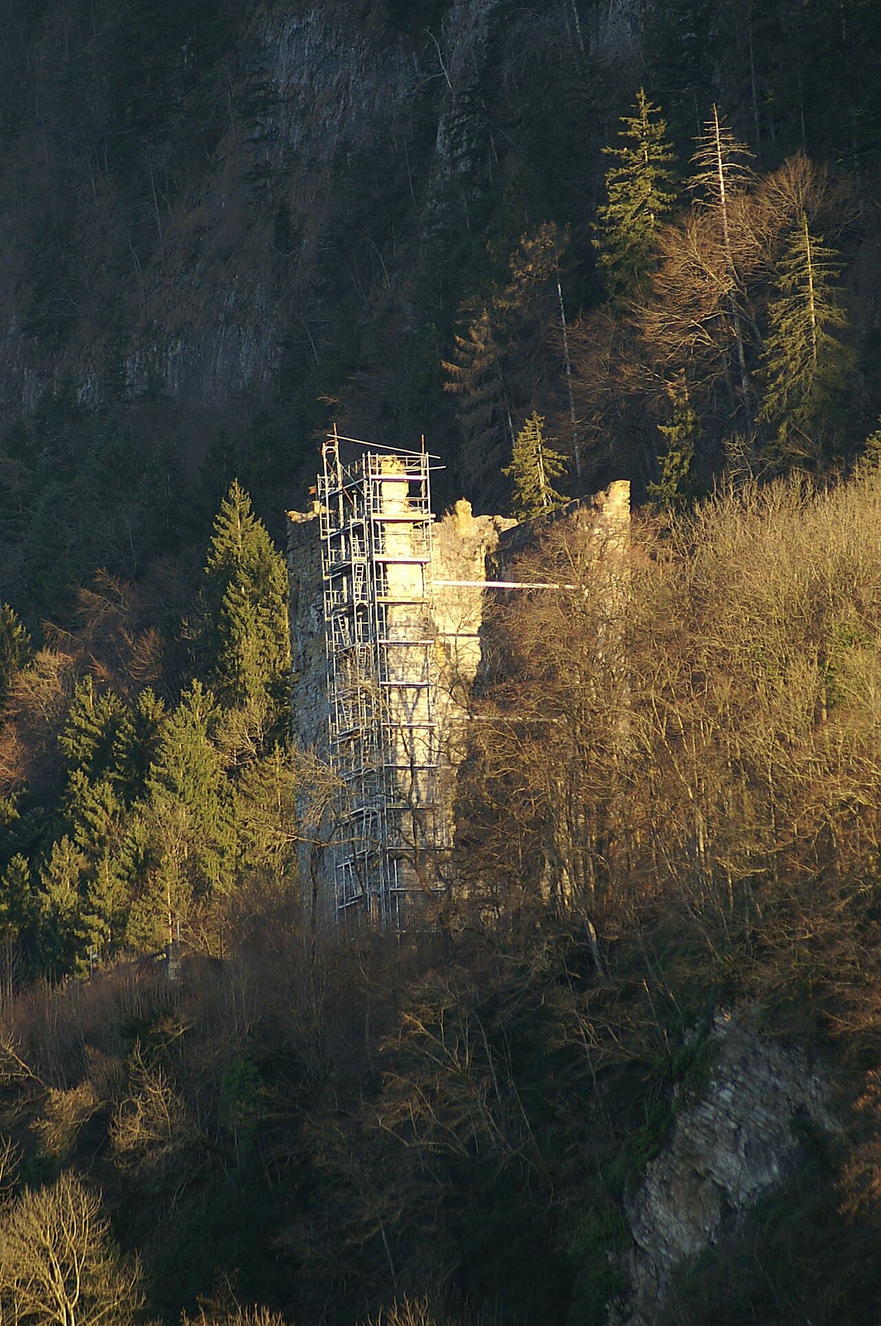 Neu-Montfort Castle Ruins — Austria castle