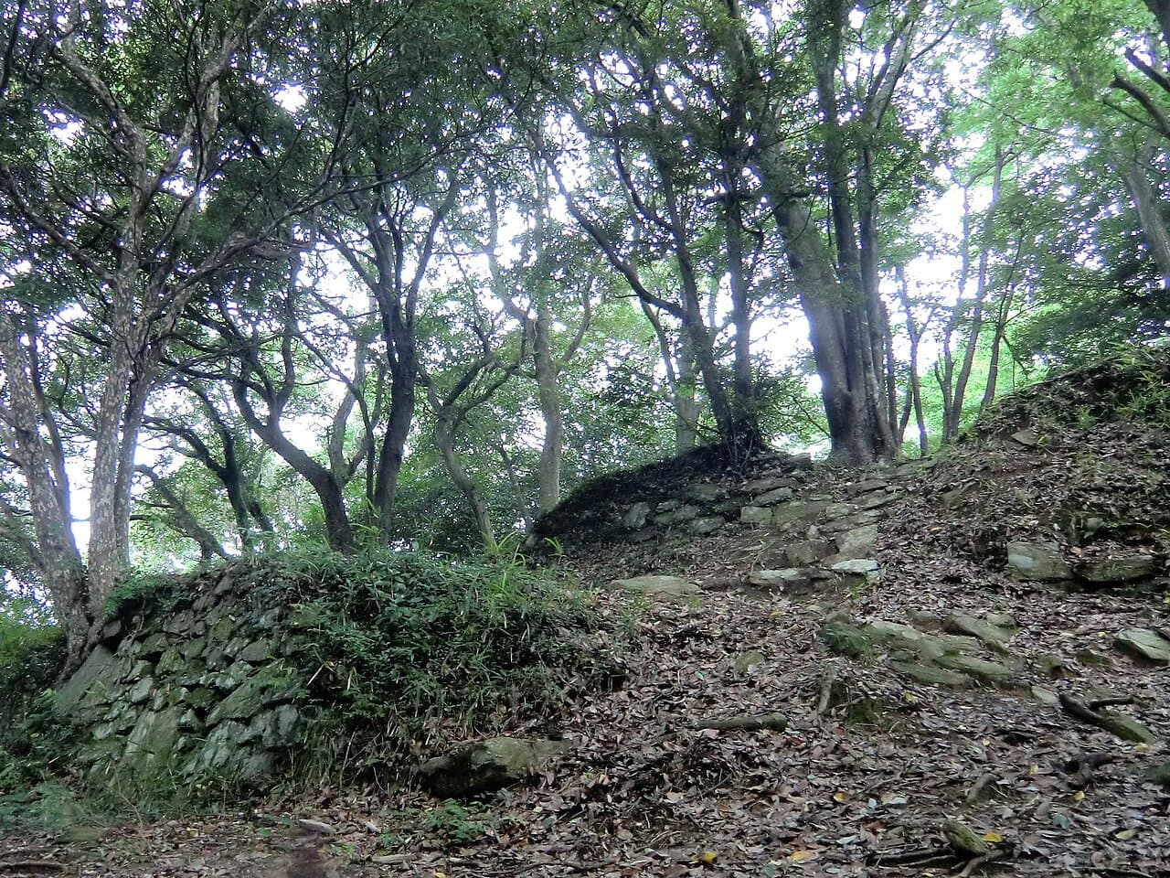 Kōnomine Castle — Japan castle