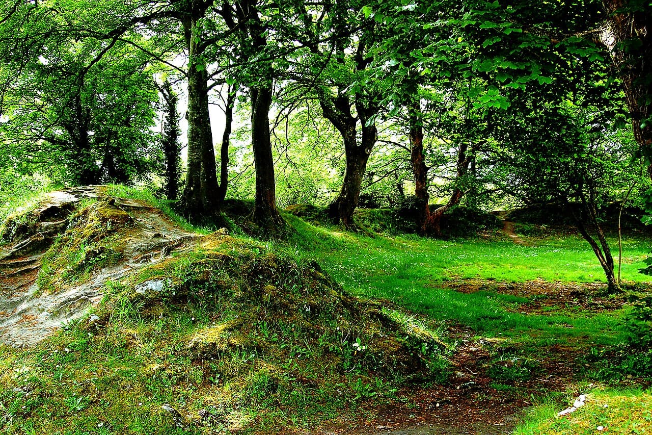 Ballyallaban ringfort — Ireland castle