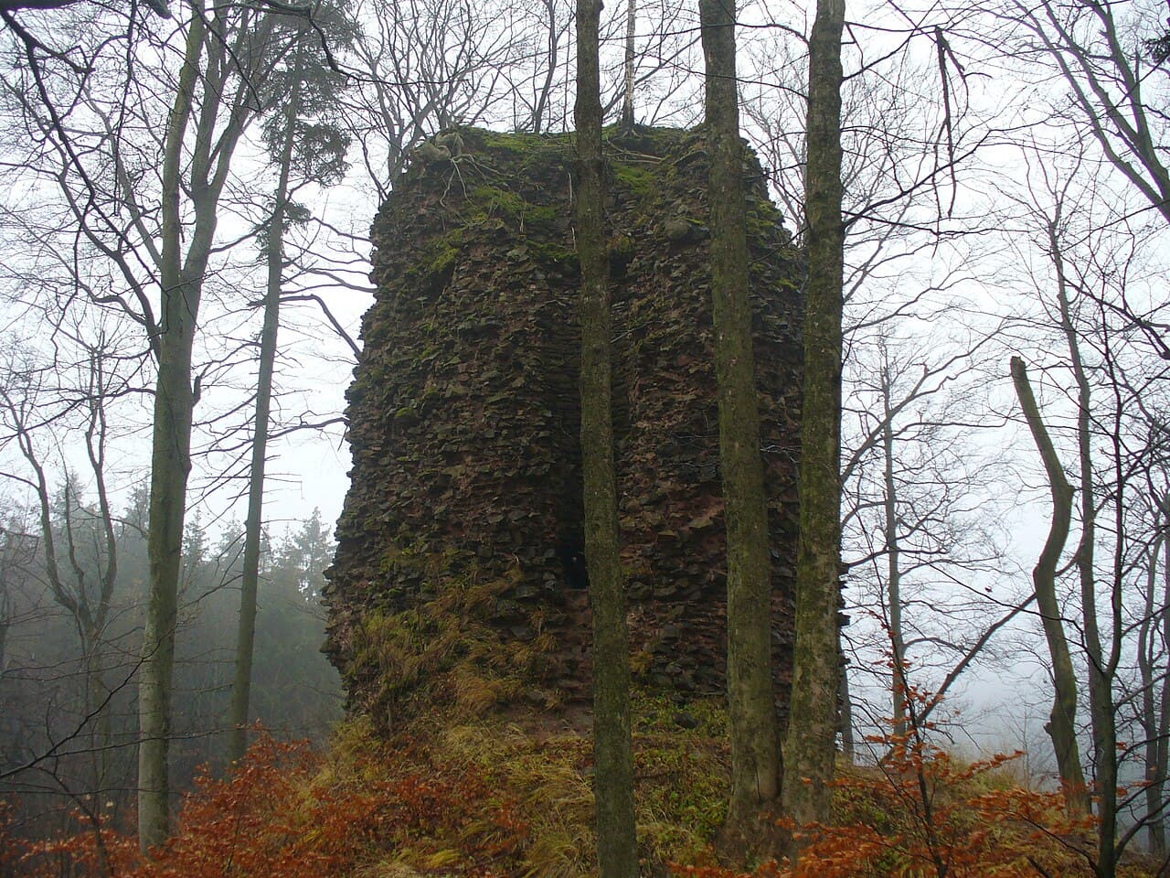 Radosno Castle — Poland castle