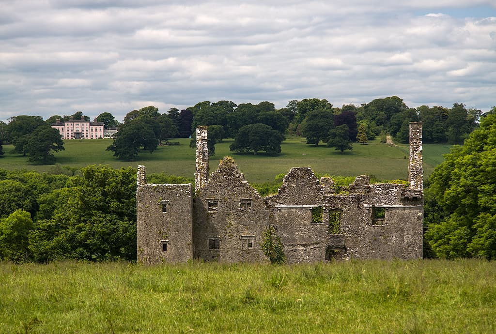 Dromaneen Castle — Ireland castle