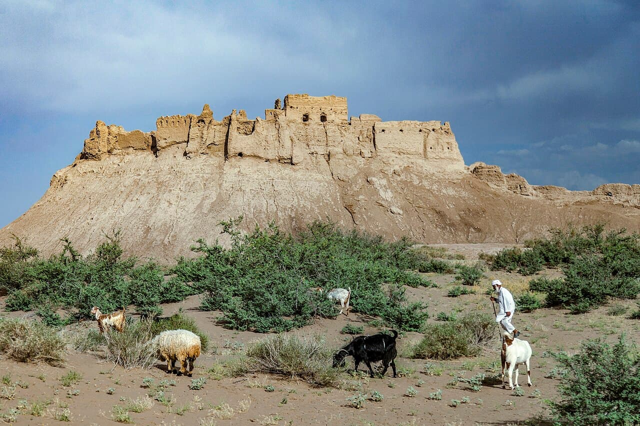 Bampur Castle — Iran castle
