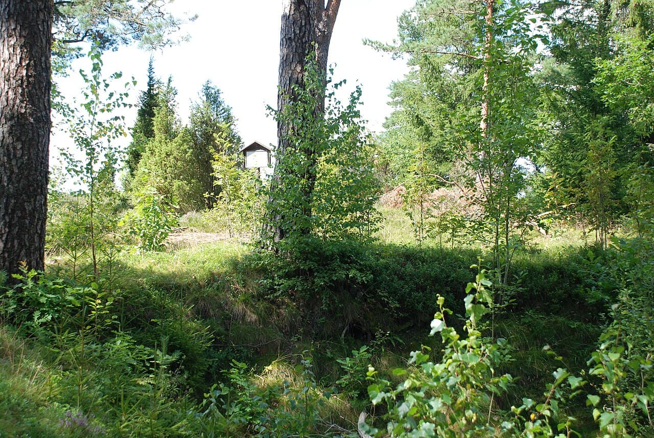 Olsborg Castle Ruins — Sweden castle