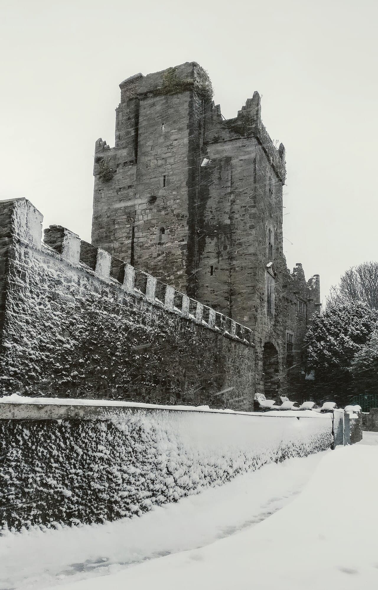 Drimnagh Castle — Ireland castle