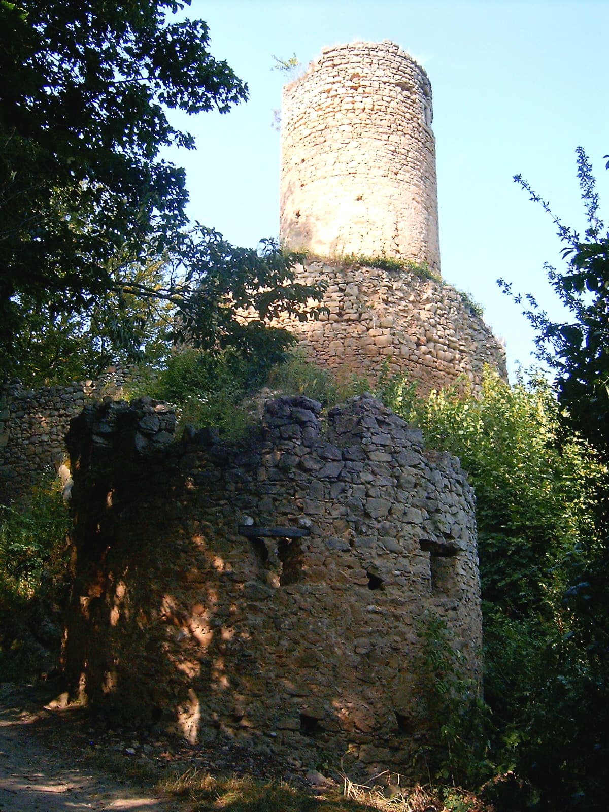 Cimburk Castle — Czech Republic castle