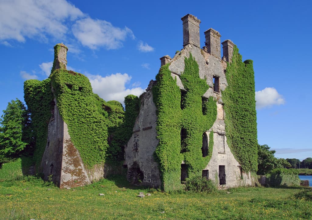 Menlo Castle — Ireland castle