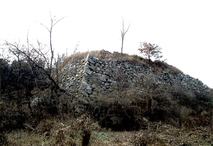 Gupo Waeseong — South Korea castle