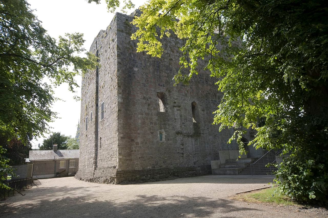 Maynooth Castle — Ireland castle