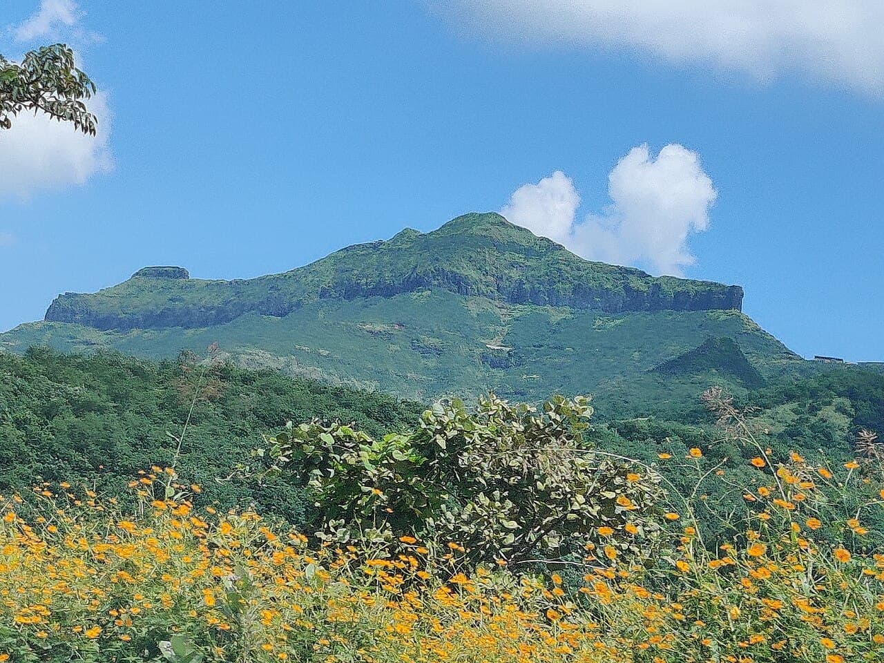 Purandar Fort — India castle