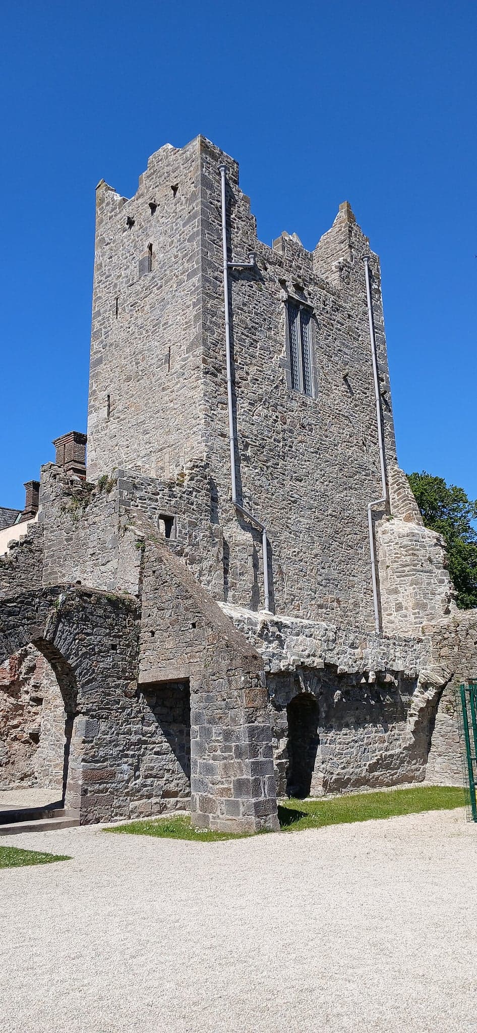 Ormonde Castle — Ireland castle