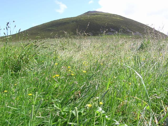 Tap o' Noth — United Kingdom castle