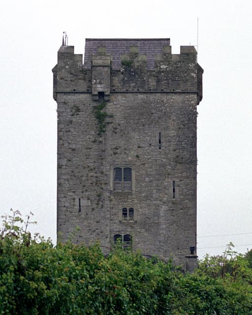 Ballyhannon Castle — Ireland castle