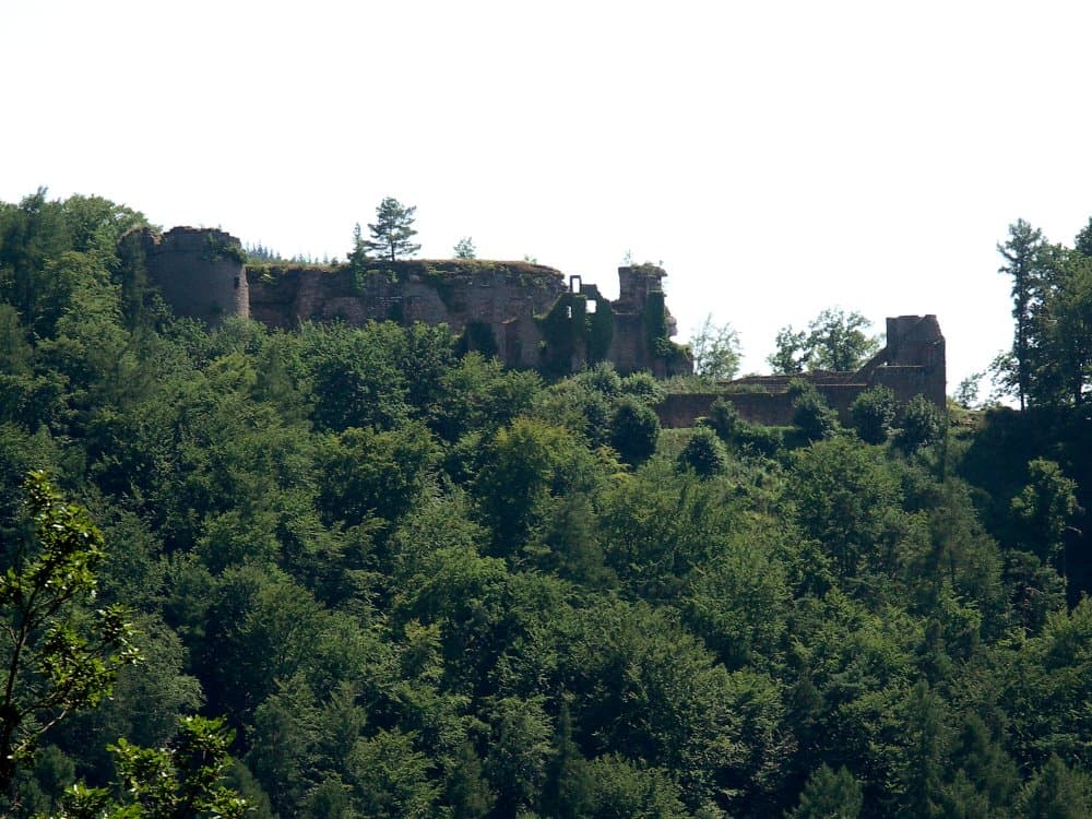 Neuscharfeneck Castle — Germany castle