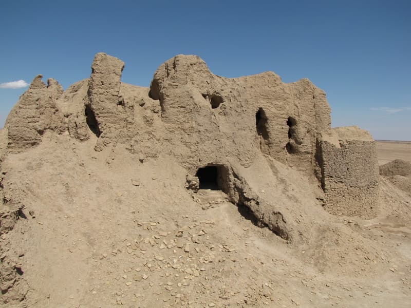 Mohammadabad Mud Castle — Iran castle