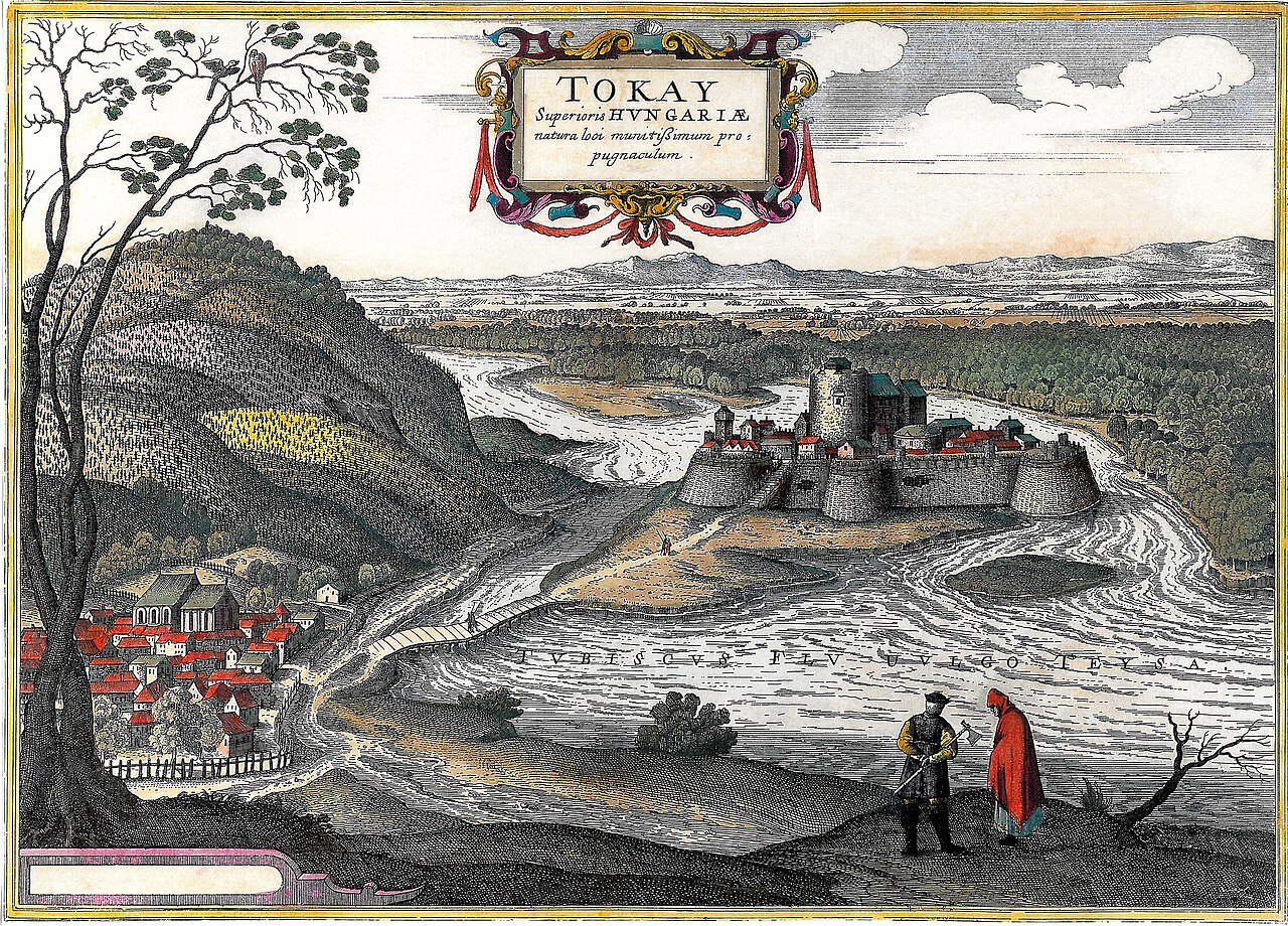 Tokaj Castle — Hungary castle