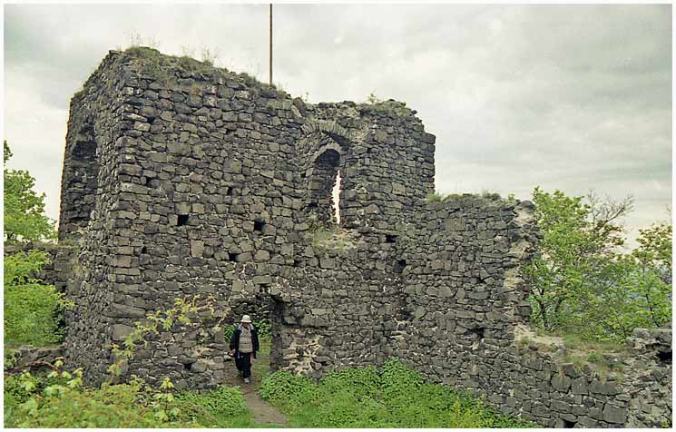 Ronov Castle — Czechia castle
