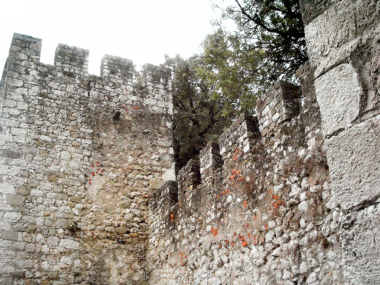 Torres Novas Castle — Portugal castle