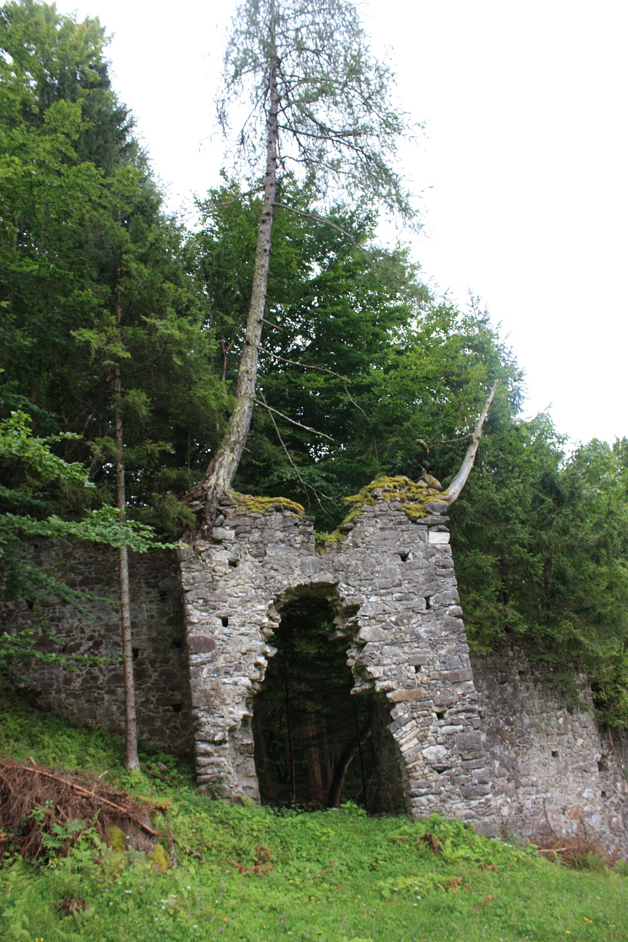 Burgruine Treffen — Austria castle