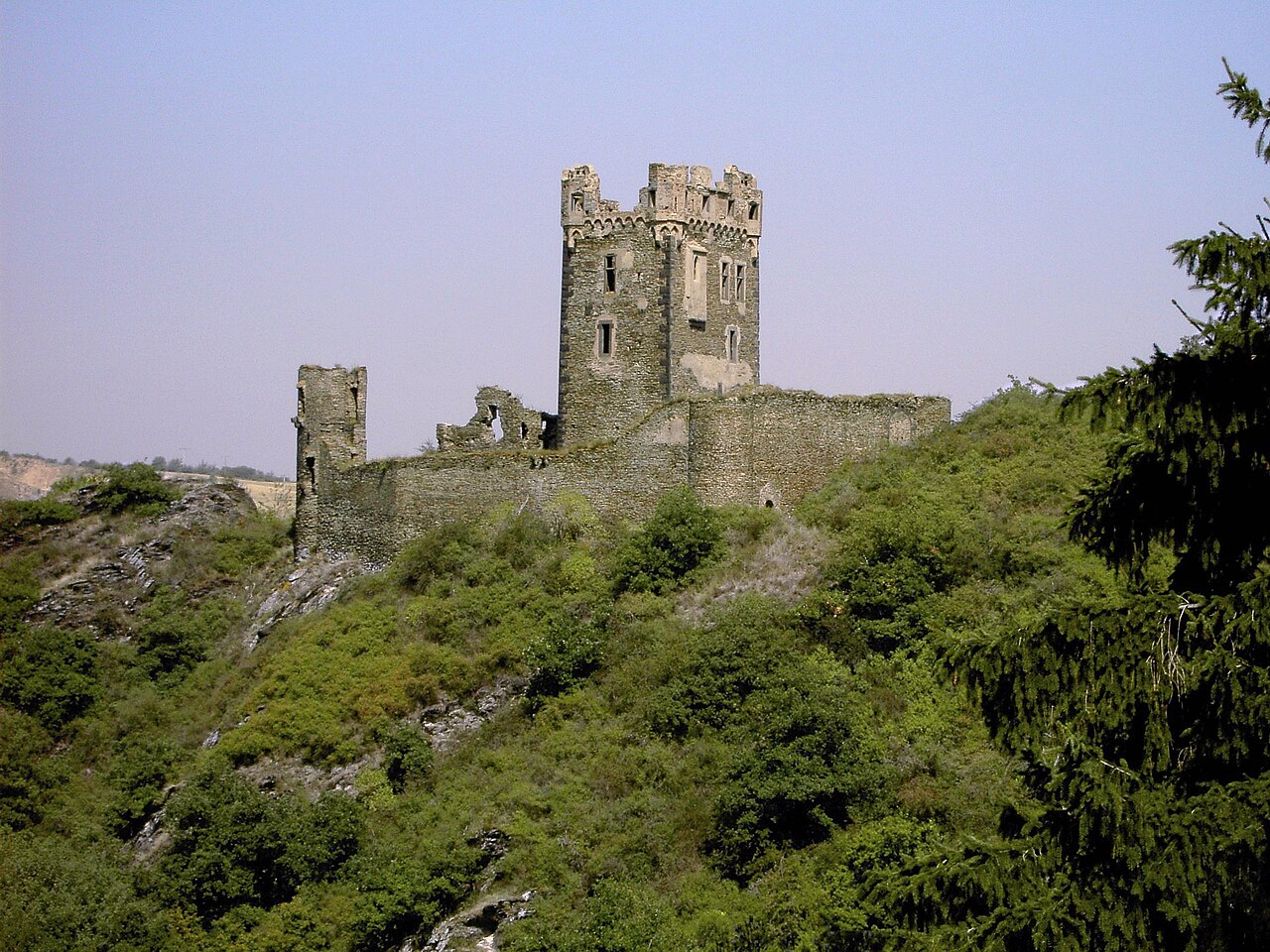 Burg Wernerseck — Germany castle