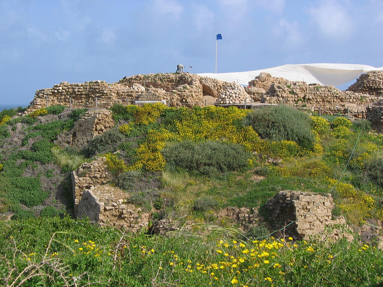 Arsuf — Israel castle