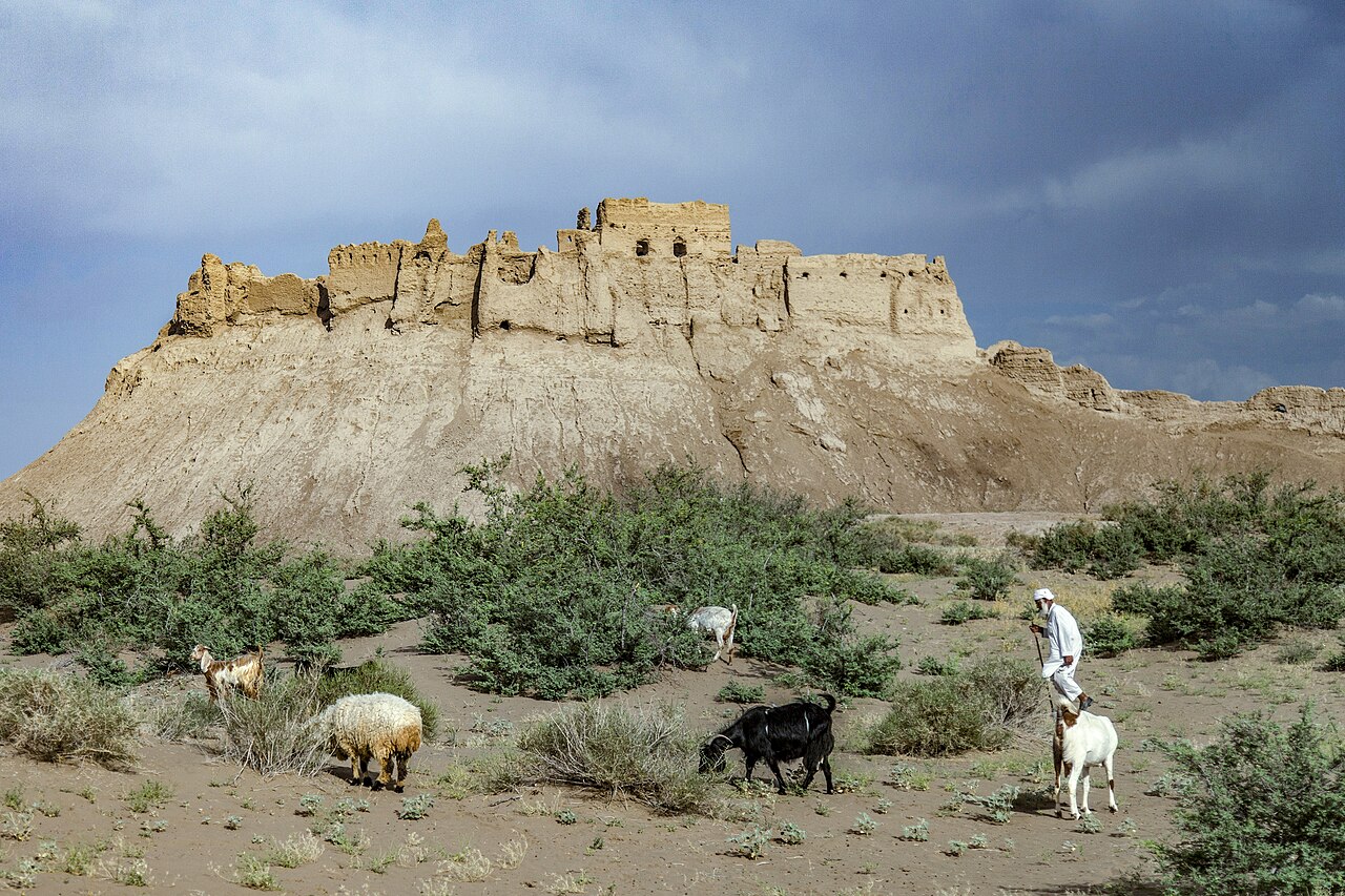 Bampur Castle — Iran (Islamic Republic of) castle