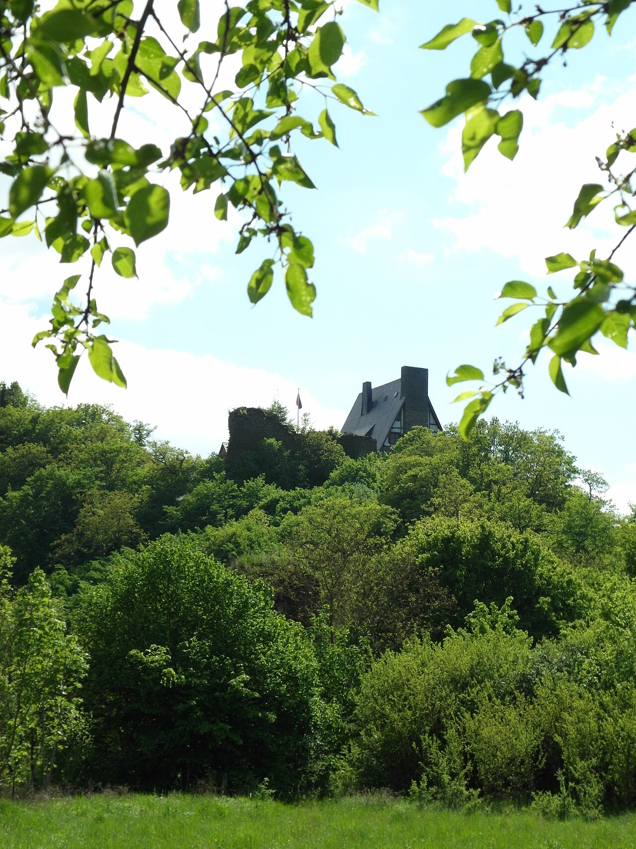Waldeck Castle — Germany castle