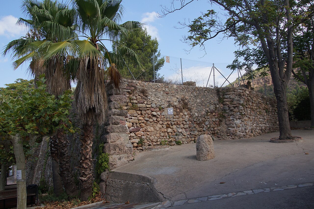 Castle of Toga — Spain castle