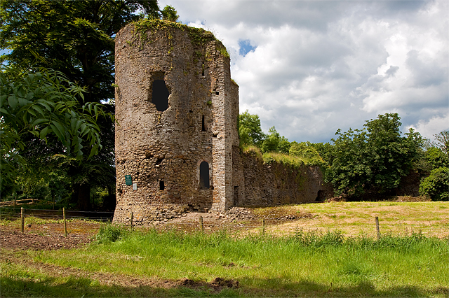 Kilbolane Castle — Ireland castle