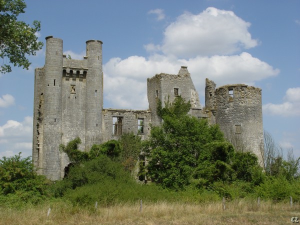 Passy-lès-Tours Castle — France castle