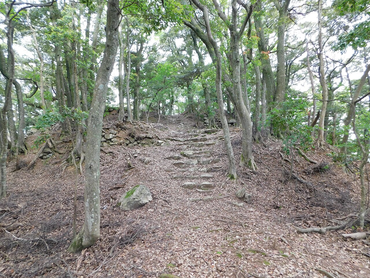 Nochiseyama Castle — Japan castle