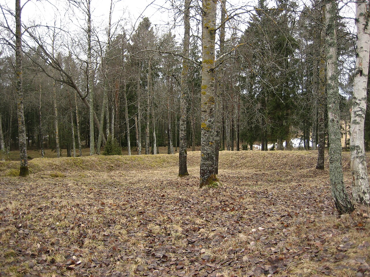 Liinmaa Castle — Finland castle