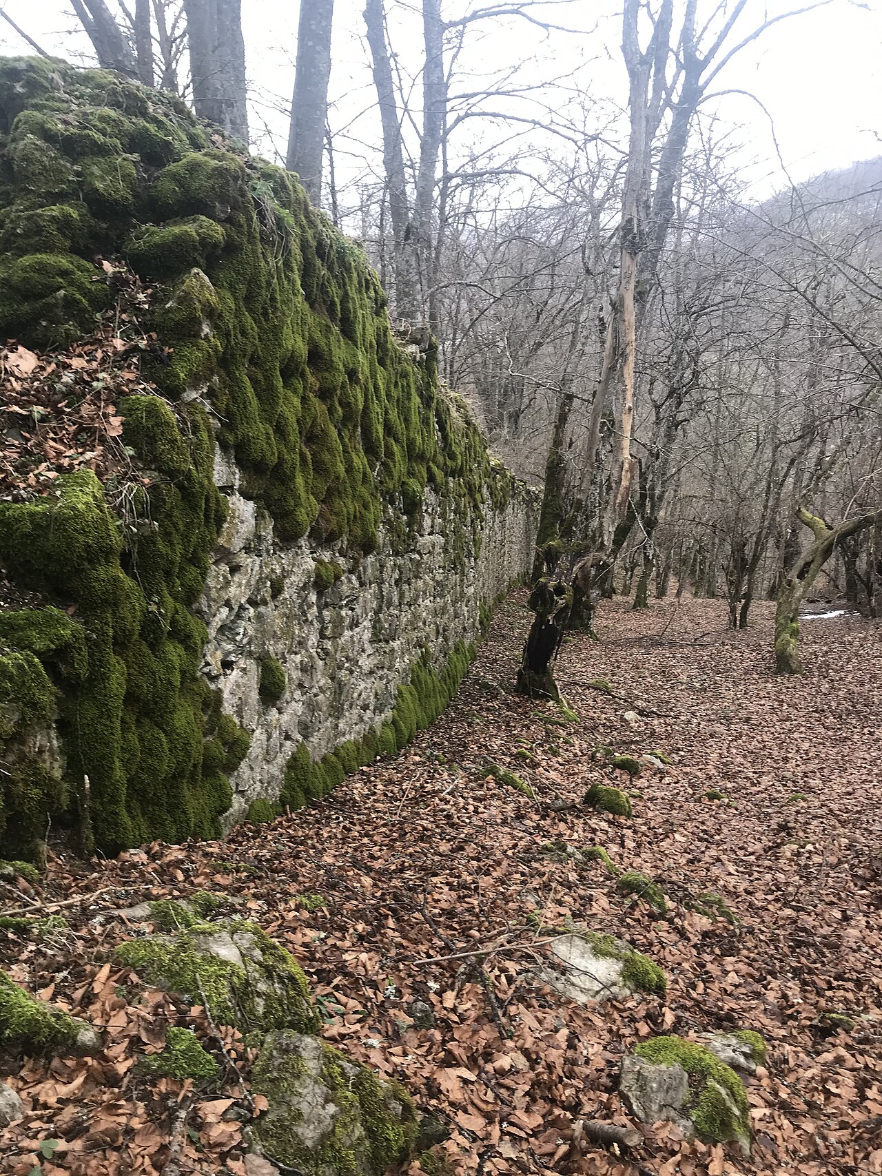 Pavlovac Fortress — Bosnia and Herzegovina castle