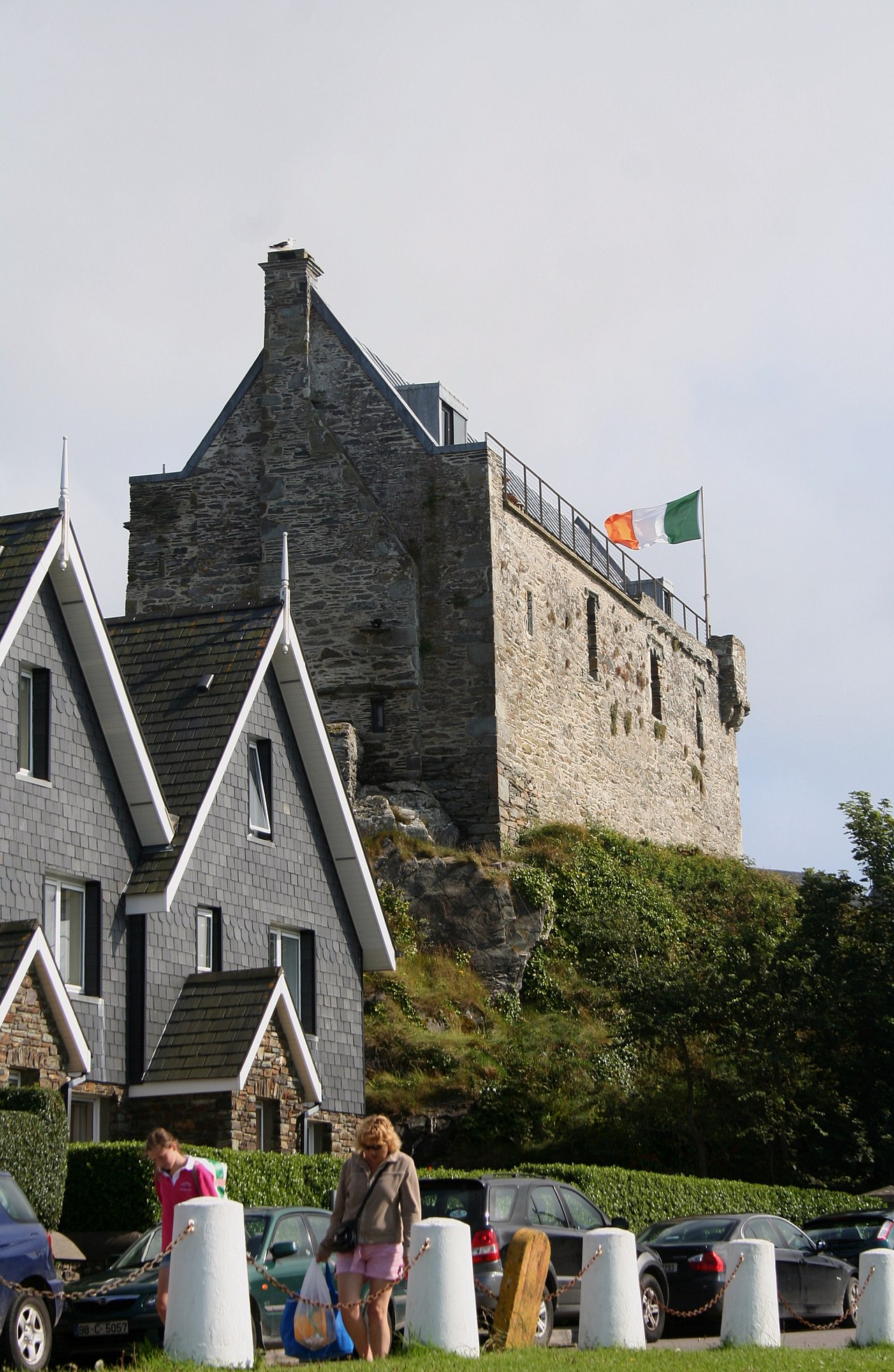 Dunasead Castle — Ireland castle