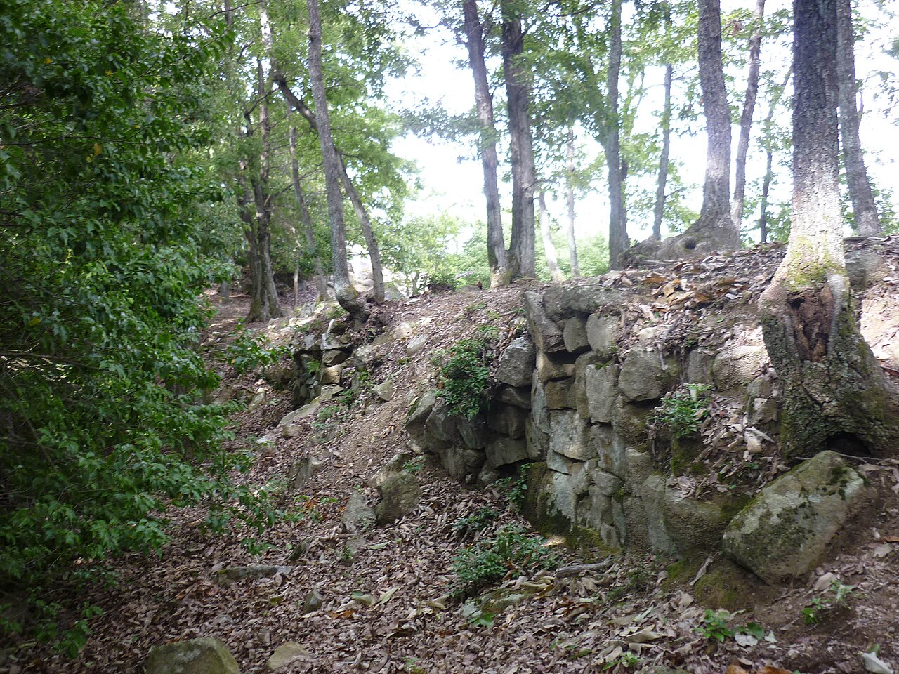Kanjōsan Castle — Japan castle