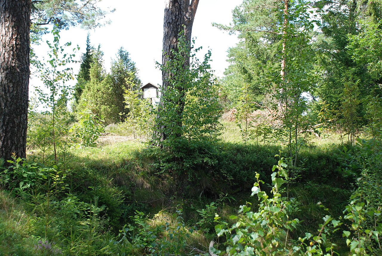 Olsborg Castle Ruins — Sweden castle