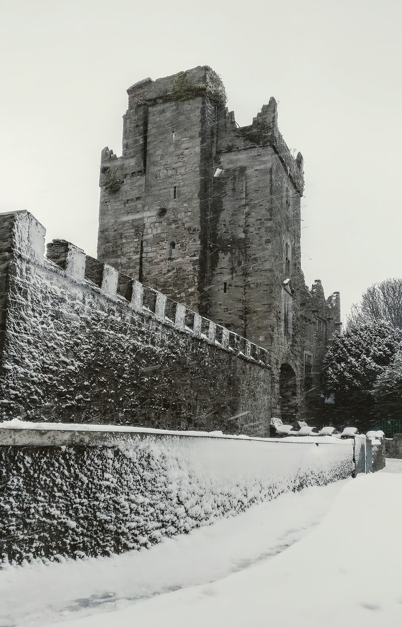 Drimnagh Castle — Ireland castle