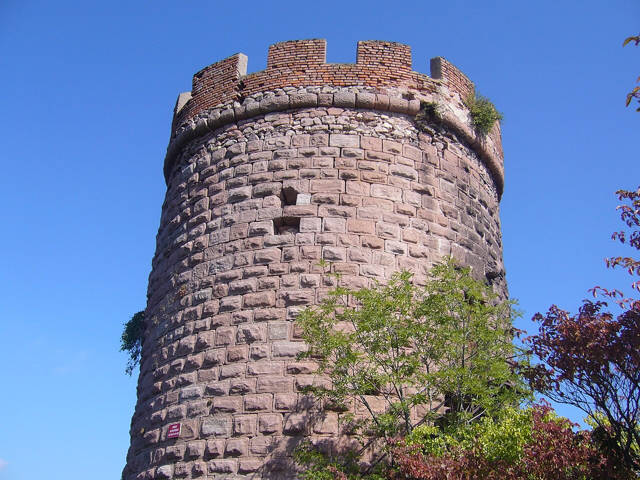 Haut-Ribeaupierre Castle — France castle